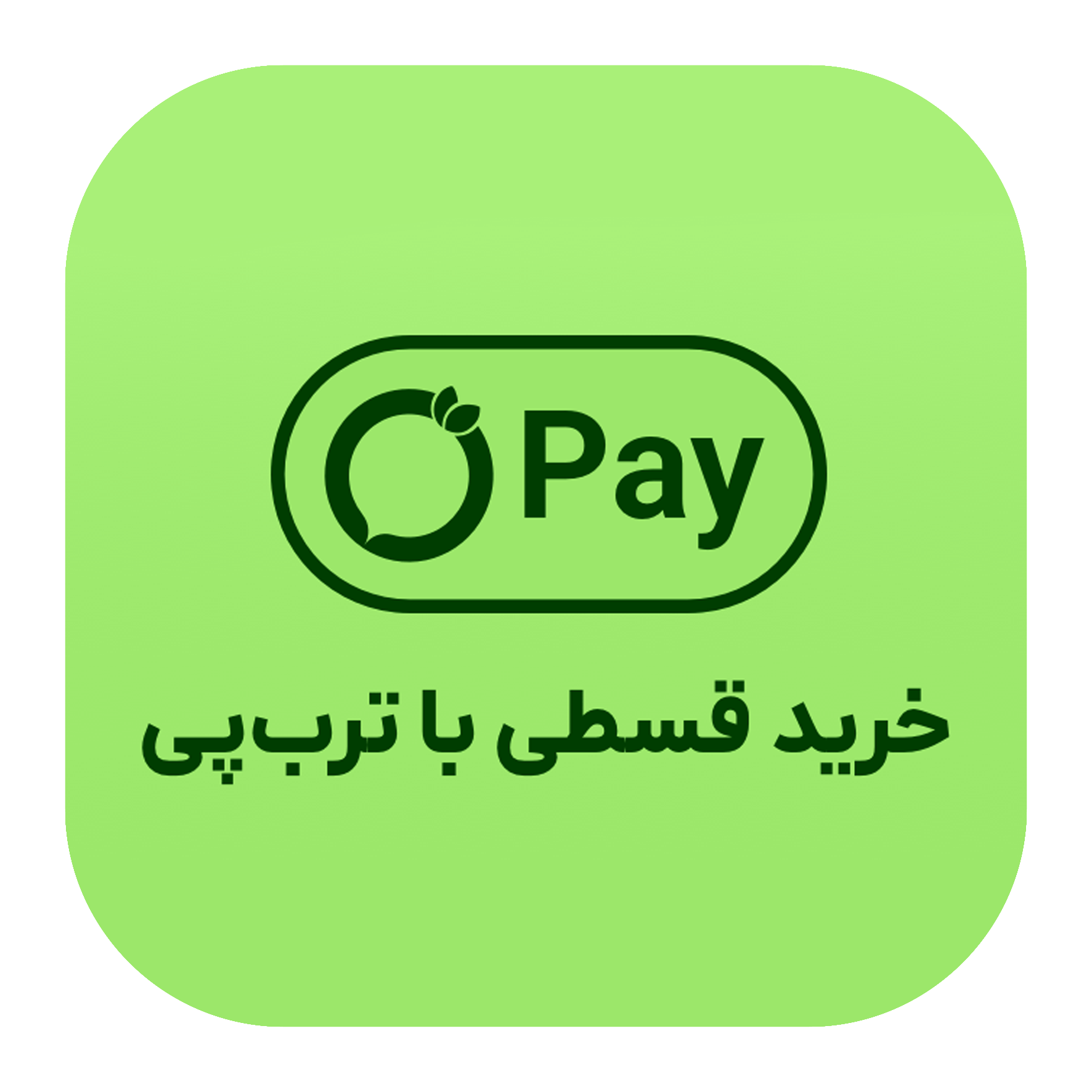 torob_pay_04@4x