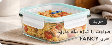 سری فنسی